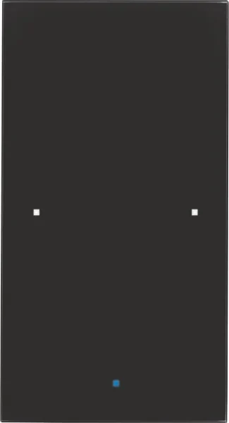 Berker Berker Glas-Sensor 1-fach schwarz 75141835