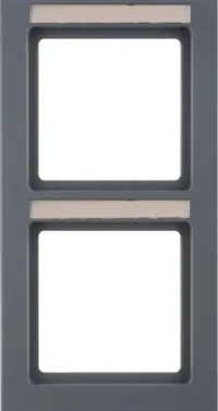 Berker Rahmen 2-fach senkrecht, B.feld Q.3 anthazit 10526086