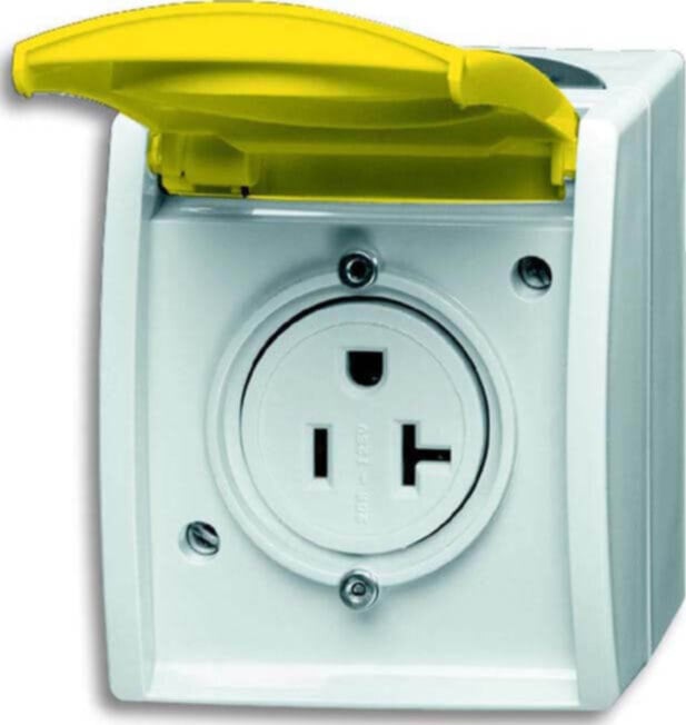 Busch-Jaeger Busch-Jaeger Steckdose 3016 EWN-53