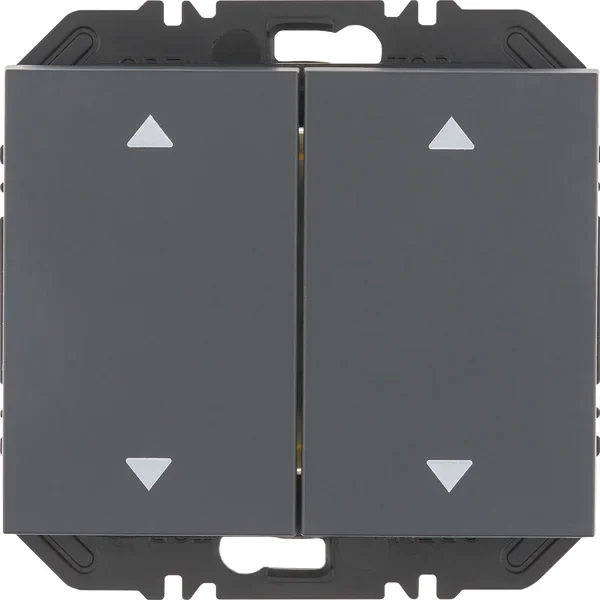 Berker Modul Wippe 2-fach Aufdr. K.1 anthrazit 24127206