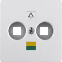 Berker Zentralplatte aluminium 14031404