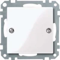 Merten Blindabdeckung aws/gl EDV 461825