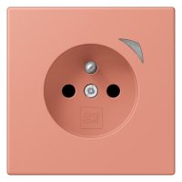 Jung BT LC 1521 F S 233 JUNG HOME Steckdose französisch/belgisches System