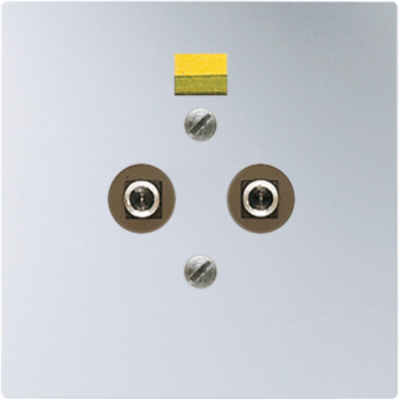 Jung Jung Potential-Ausgl Steckdose DIN42801 AL 2965-2