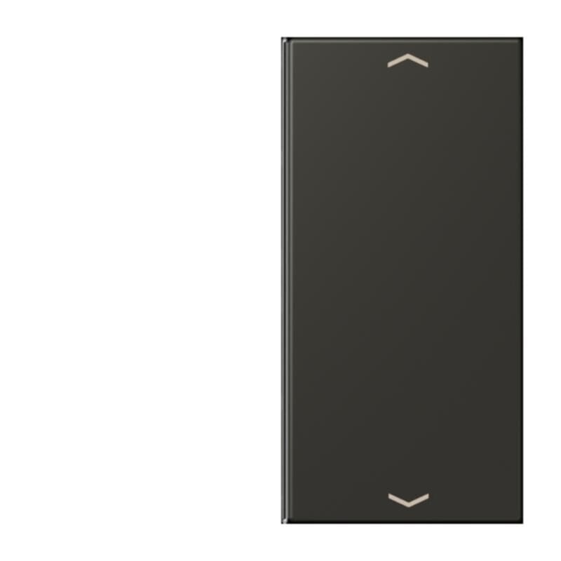 Jung Jung LC402TSAP259 Taste 2-fach Pfeil LC4320R