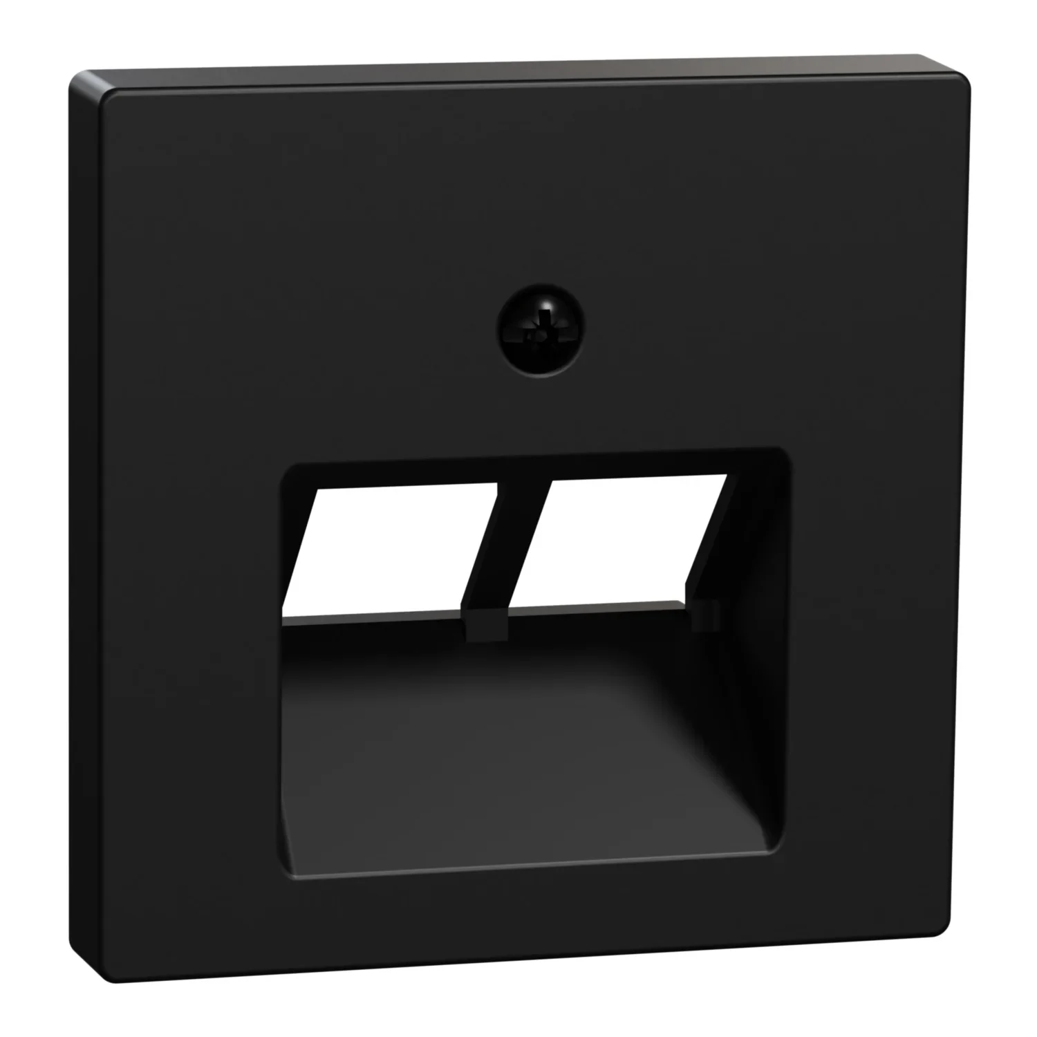 Merten Merten Zentralplatte 2-fach schwarz matt für UAE-Einsatz MEG4522-0403