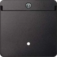 Merten Card-Schalter anth beleuchtbar 315414