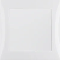 Berker Netzteil pows/gl mit Rahmen 52048989