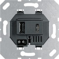 Jung USB-Ladegerät USB15CASW