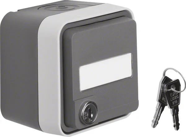 Berker Berker SCHUKO-Steckdose lichtgrau 47393505