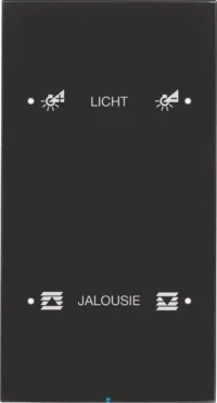 Berker Touch-Sensor 2-fach Glas schwarz 75142155