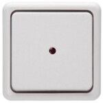 Kopp 514602006 Aufputz Kontrollschalter mit Linse 10AX 250V arktis
