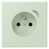 Jung BT LC 1521 F S 218 JUNG HOME Steckdose französisch/belgisches System