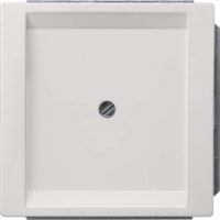 Siemens 5TG1330 DELTA style titanweiß Blindplatte