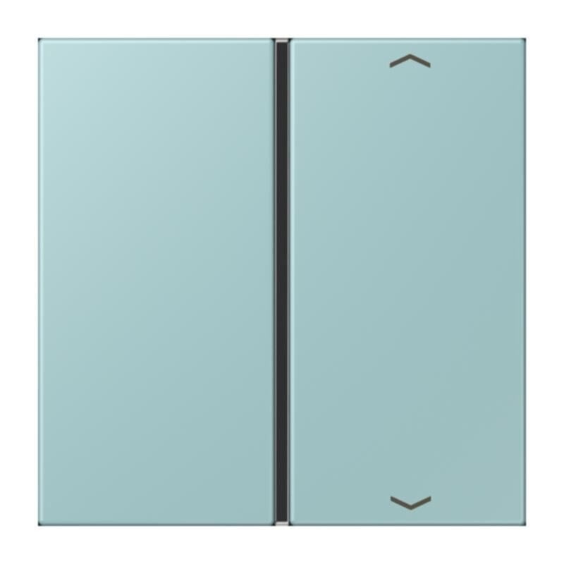 Jung Jung LC401TSAP214 Taste 1-fach Pfeil LC32033