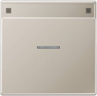 Jung ES2990NAKO5 Wippe Schriftfeld m.Lichtleiter LS Edelstahl