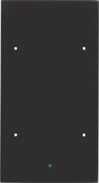 Berker Glas-Sensor 2-fach Glas 75142835