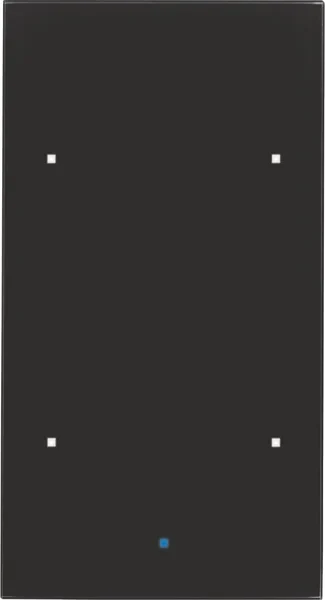 Berker Berker Glas-Sensor 2-fach Glas 75142835