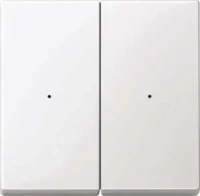 Merten Wippe pws/gl für Tastermodul 2 fach  619219