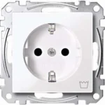 Merten SCHUKO-Steckdose alpinweiß/gl Kennz Waschmaschine MEG2352-0325