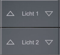 Eltako Doppelwippe für Funk-FB DW-FF8-anthrazit-lackiert-at