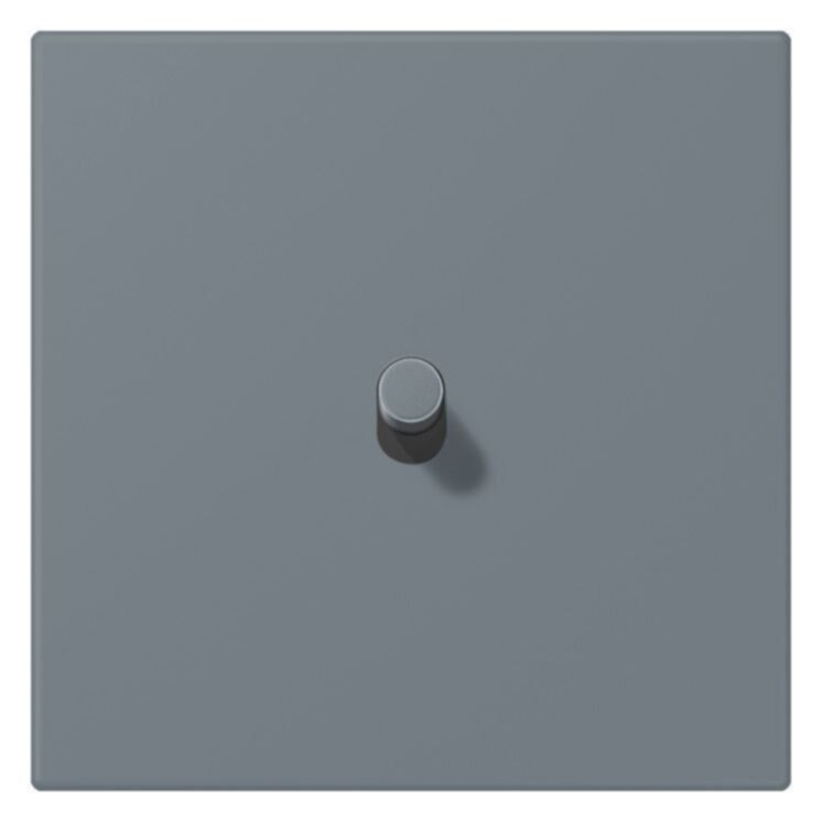 Jung Jung LC12-0R0251 Abdeckung mit Kipphebel "Zylinder" 1 Kipphebel LS 1912 gris 59