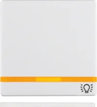 Berker Wippe Linsen und Aufdruck 16216079