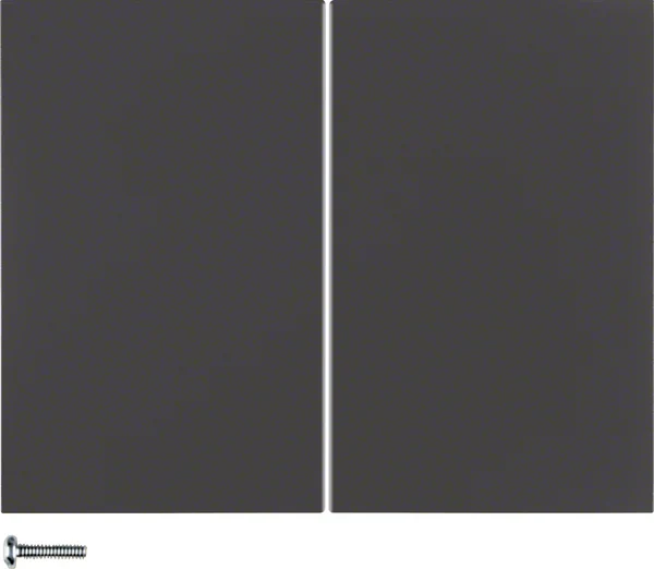 Berker Berker KNX-Funk Taste 4-fach anthrazitmatt 85648175