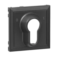 Legrand 765433 SEANO Abdeckung für DIN-Schlüsselschalter 0  1 Anthrazit