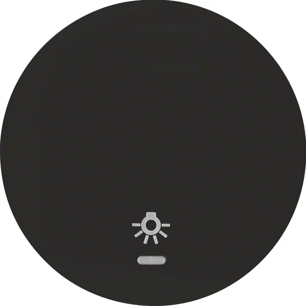 Berker Berker Wippe schwarz/glänzend Linse/Symbol Licht 16212035