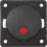 Berker Kontroll-Wippschalter anthrazit/ma 12V rt Linse 937622535