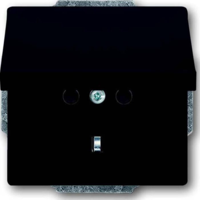 Busch-Jaeger Steckdose m. Deckel 20 EUK-81 – Bild 1