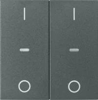 Berker Abdeckung Tastsensor-Modul 2-fach anthrazit 80962385