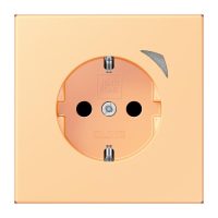 Jung BTLC1521S258 JUNG HOME SCHUKO Steckdose LC4320P