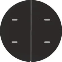 Berker Tastsensor 2-fach schwarz/glänzend 80162865