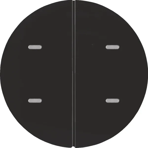 Berker Berker Tastsensor 2-fach schwarz/glänzend 80162865