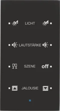 Berker Glas-Sensor 4-fach schwarz 75144935