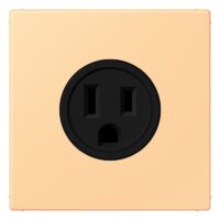Jung LC521-15258 Steckdose US-Norm NEMA LC4320P
