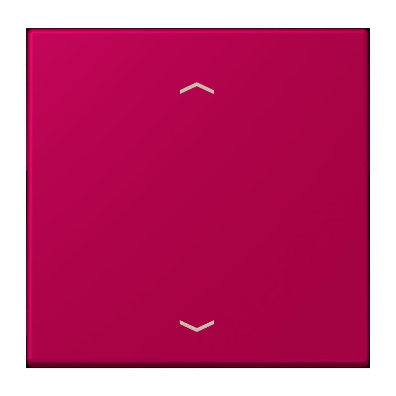 Jung Jung LC1700P230 Steuertaste Standard -Pfeile LC32101