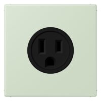 Jung LC521-15218 Steckdose US-Norm NEMA LC32042