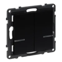 Legrand 765834 Seano with Netatmo Wandsender 2-Fach Schwarz