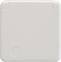 Berker Steckdose pws SCHUKO- 421109