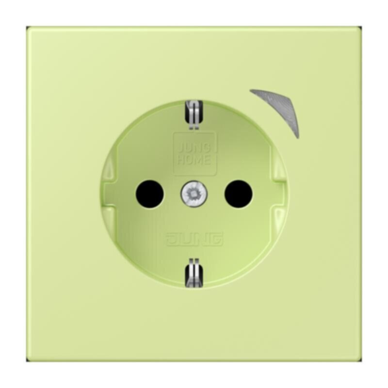 Jung Jung BTLC1521S222 JUNG HOME SCHUKO Steckdose LC32053