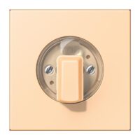 Jung LC1941223 Abdeckung für Drehschalter LC32060