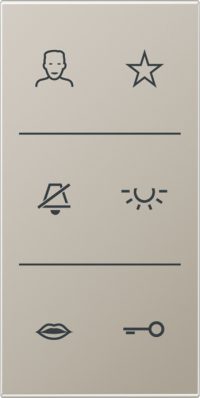Jung Design-Cover Video Symbole SI V6 ES DC