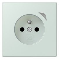 Jung BT LC 1521 F S 215 JUNG HOME Steckdose französisch/belgisches System