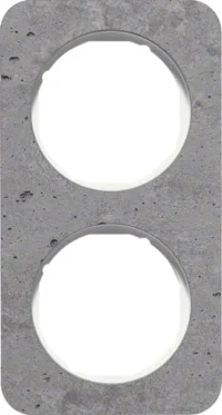 Berker Rahmen 2-fach Beton-grau/plw glanz 10122379