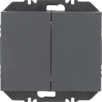 Berker Modul mit Wippe 2-fach K.1 anthrazit 24127106