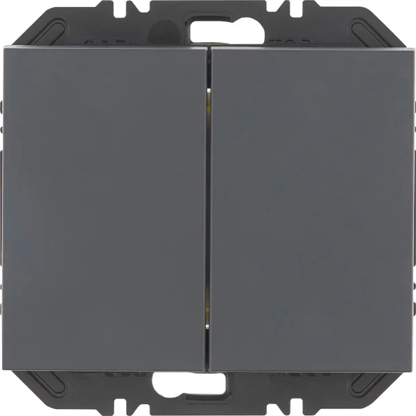 Berker Modul mit Wippe 2-fach K.1 anthrazit 24127106