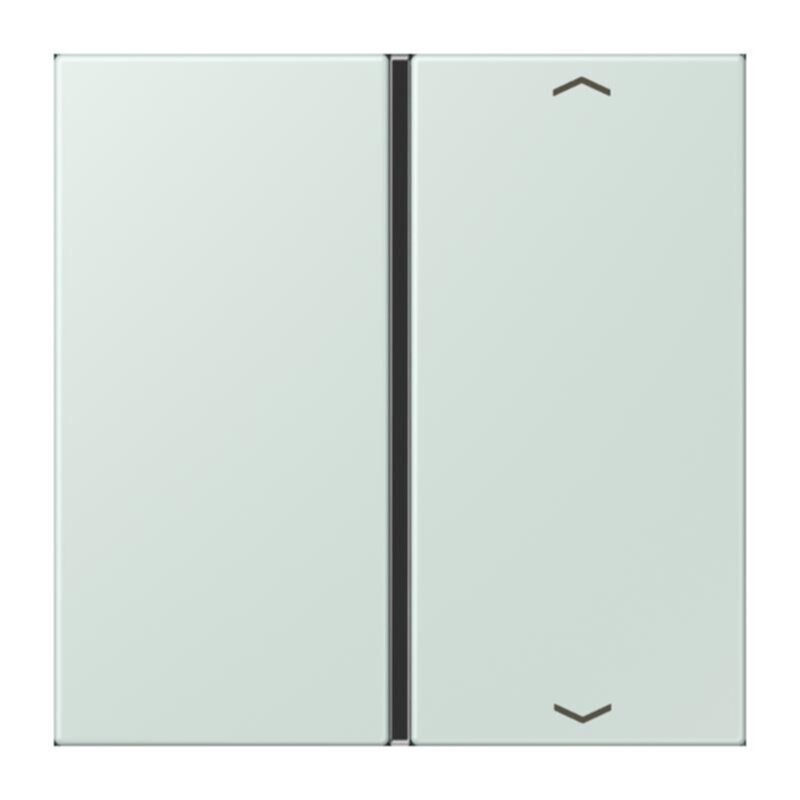 Jung Jung LC401TSAP215 Taste 1-fach Pfeil LC32034